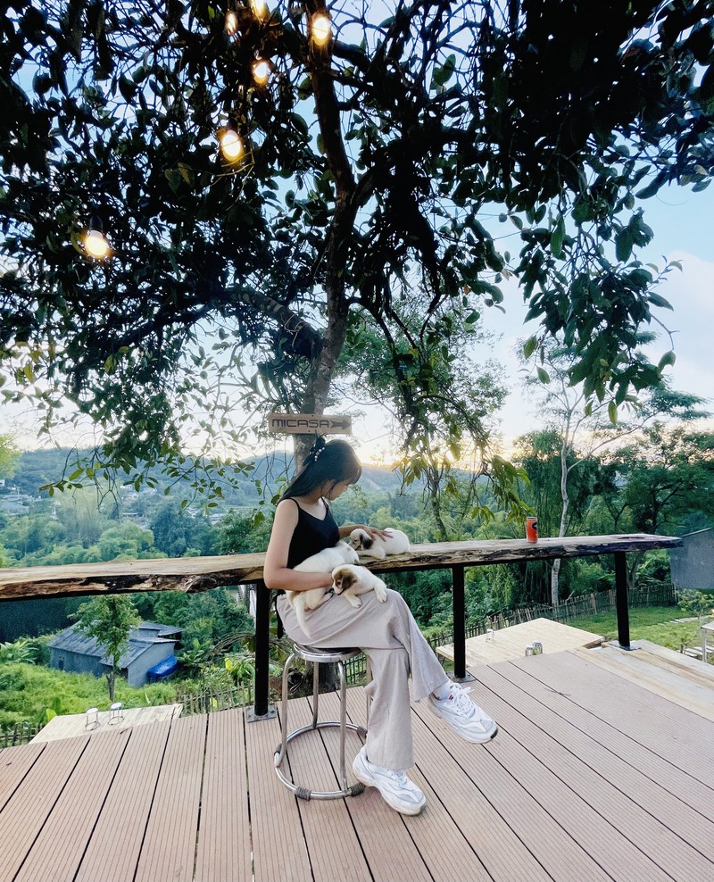 Cô gái về quê dựng ngôi nhà gỗ cheo leo bên sườn núi đẹp mê hồn - ảnh 11