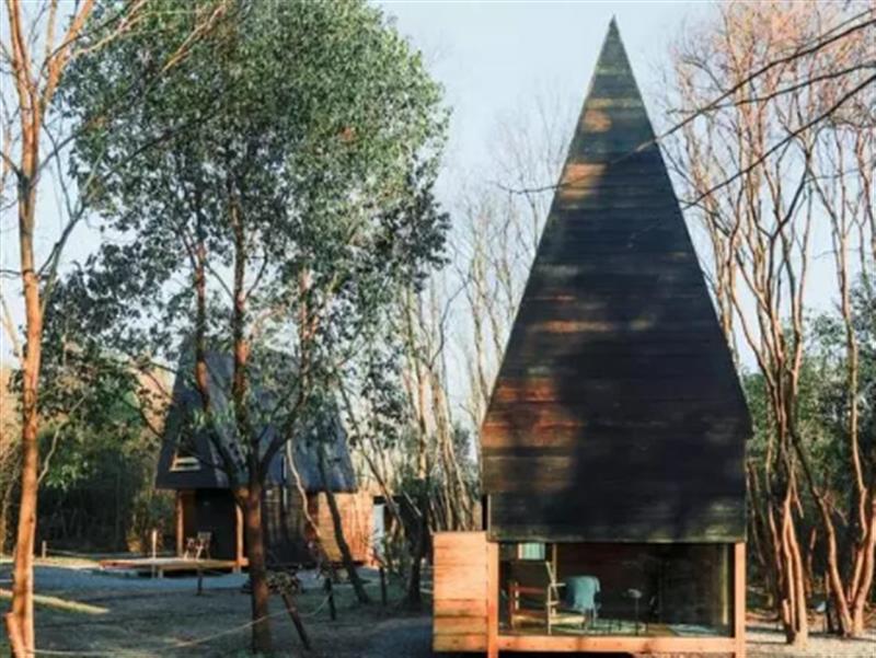 Trải qua biến cố, 2 gia đình vào rừng dựng nhà gỗ, sống hòa mình vào thiên nhiên