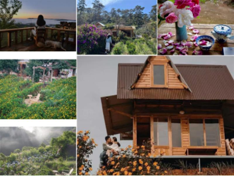 Ngôi nhà trên đỉnh núi mây phủ, ngập tràn hương sắc hoa