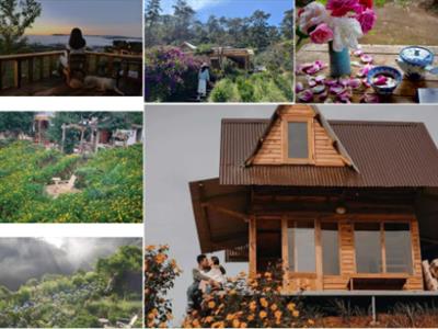 Ngôi nhà trên đỉnh núi mây phủ, ngập tràn hương sắc hoa