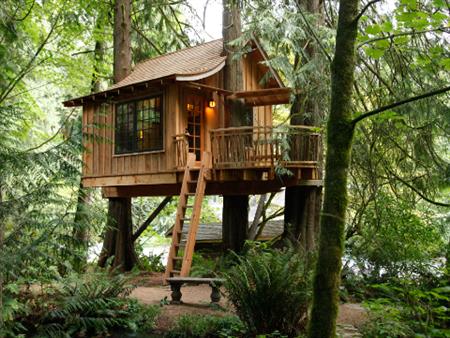 Nhà Gỗ Trên Cây