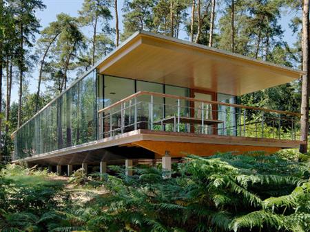 Nhà kính Trong rừng